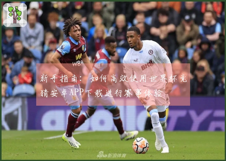 新手指南：如何高效使用世界杯竞猜安卓APP下载进行赛事体验