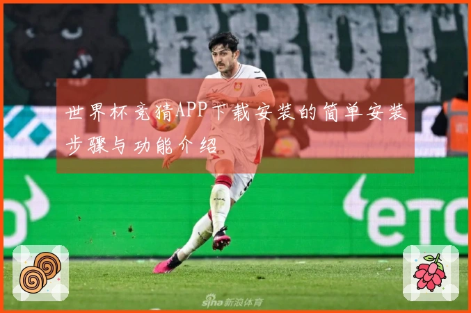 世界杯竞猜APP下载安装的简单安装步骤与功能介绍