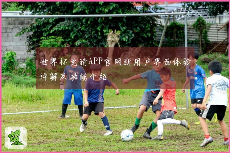 世界杯竞猜APP官网新用户界面体验详解及功能介绍