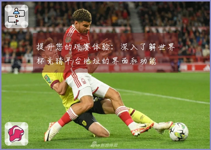 提升您的观赛体验：深入了解世界杯竞猜平台地址的界面和功能