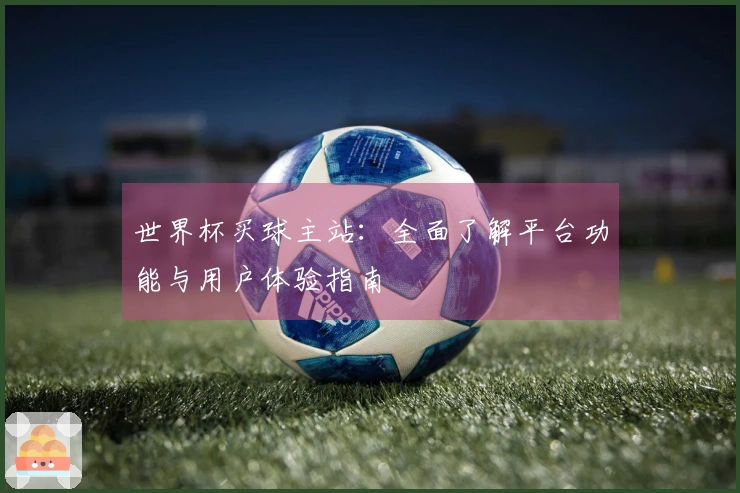 世界杯买球主站：全面了解平台功能与用户体验指南