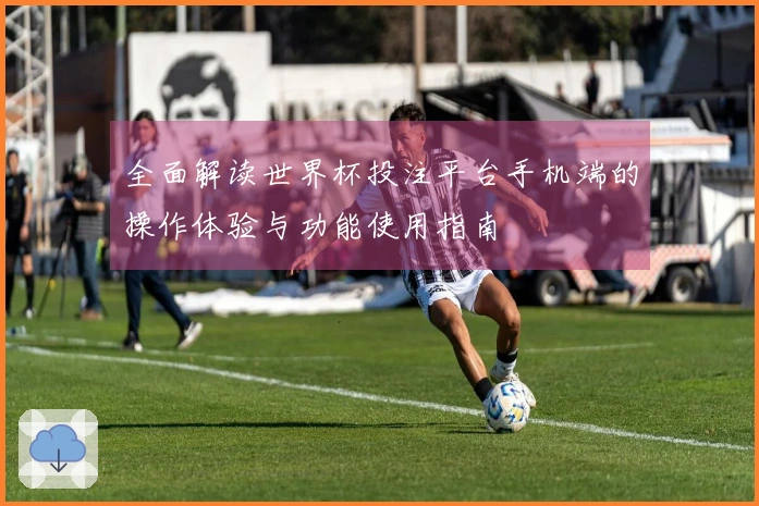 全面解读世界杯投注平台手机端的操作体验与功能使用指南
