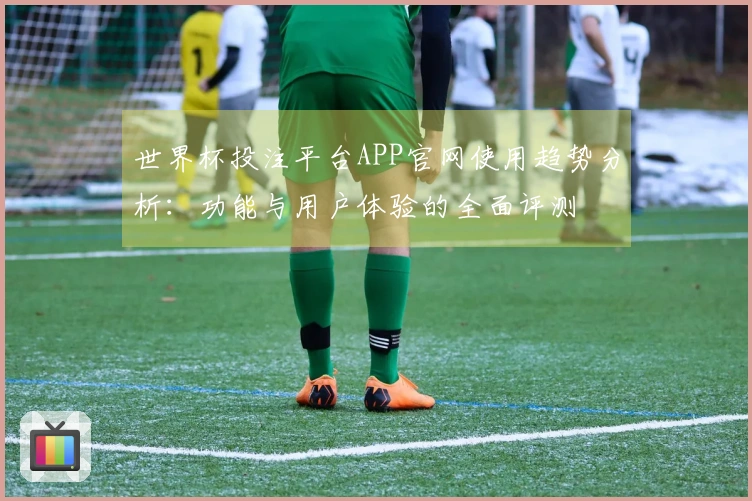 世界杯投注平台APP官网使用趋势分析：功能与用户体验的全面评测
