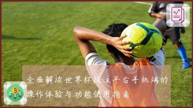 全面解读世界杯投注平台手机端的操作体验与功能使用指南