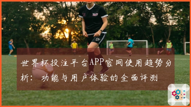 世界杯投注平台APP官网使用趋势分析：功能与用户体验的全面评测