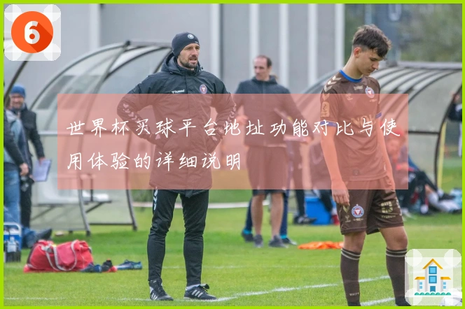 世界杯买球平台地址功能对比与使用体验的详细说明