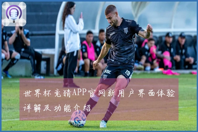 世界杯竞猜APP官网新用户界面体验详解及功能介绍